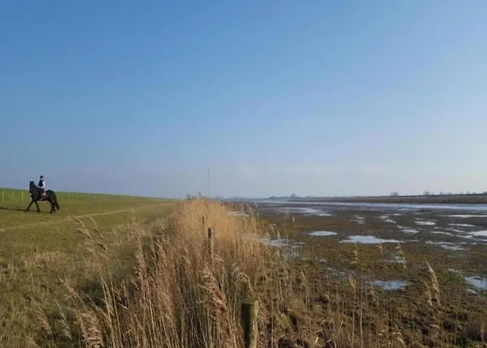 By Water Near Rotterdam And Zeeland Simonshaven