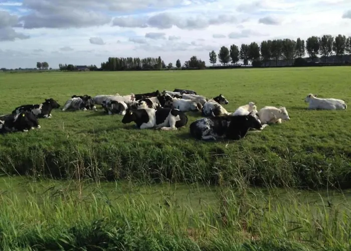 Сasa de vacaciones By Water Near Rotterdam And Zeeland *