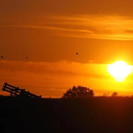 Prázdninový dům By Water Near Rotterdam And Zeeland