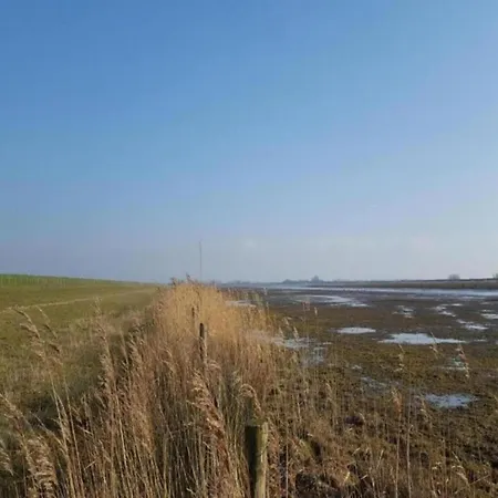 By Water Near Rotterdam And Zeeland Simonshaven