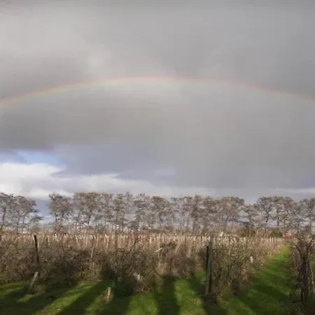 By Water Near Rotterdam And Zeeland Prázdninový dům *