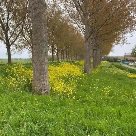 By Water Near Rotterdam And Zeeland Prázdninový dům Simonshaven