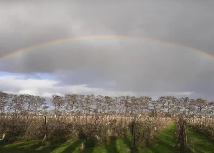By Water Near Rotterdam And Zeeland Vakantiehuis *