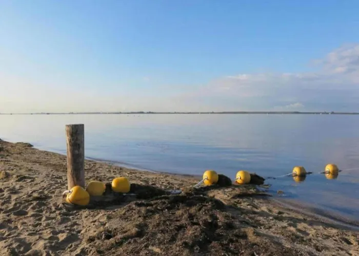 Vakantiehuis By Water Near Rotterdam And Zeeland Simonshaven