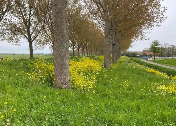 By Water Near Rotterdam And Zeeland Vakantiehuis Simonshaven